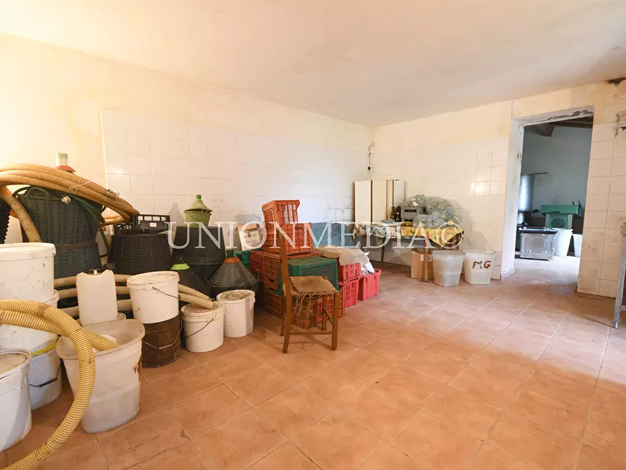 Immagine 22 di Casa indipendente in vendita  in via canepari a Fosdinovo