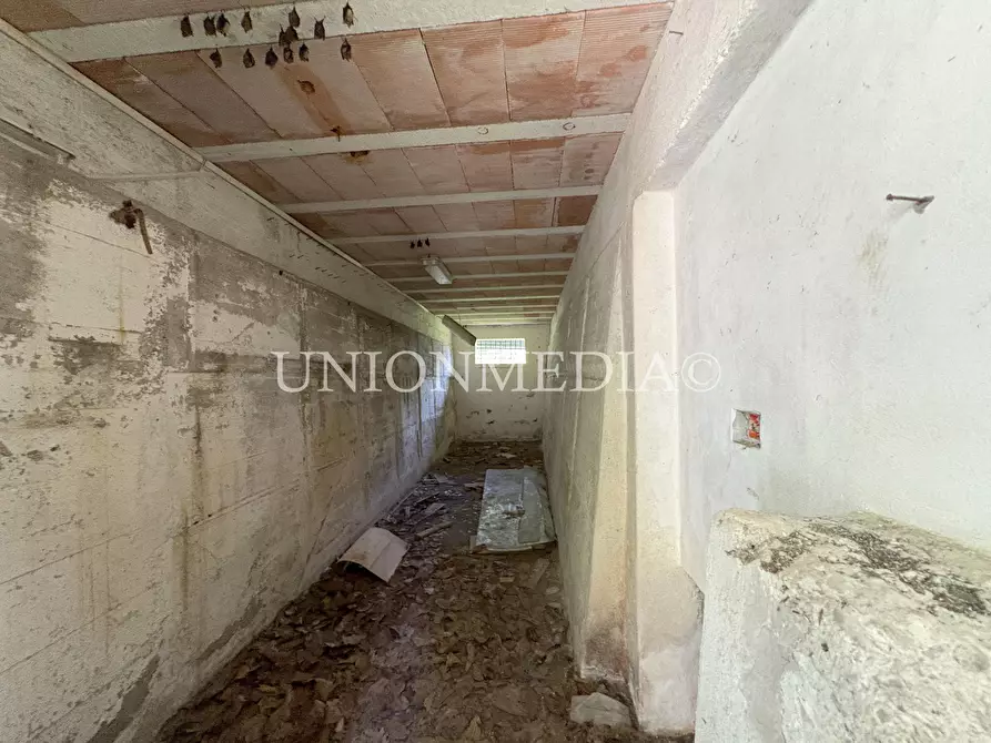 Immagine 27 di Rustico / casale in vendita  in via carignano a Fosdinovo