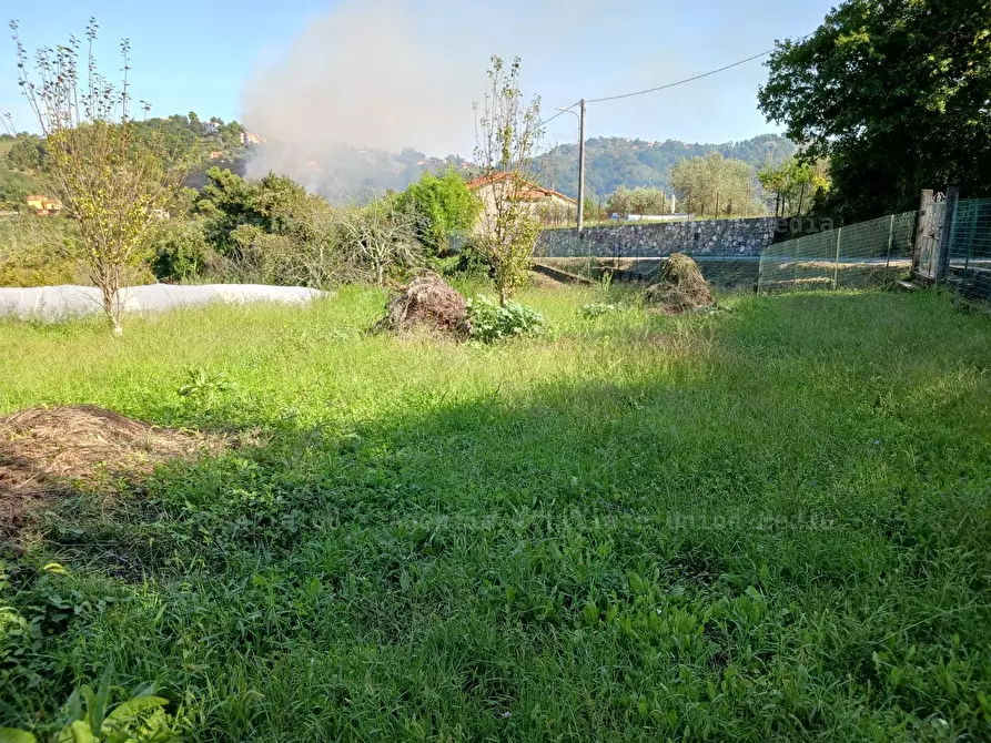 Immagine 15 di Rustico / casale in vendita  a Arcola