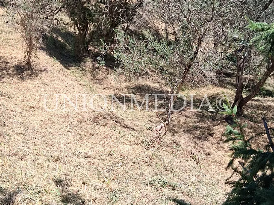 Immagine 12 di Terreno edificabile in vendita  a Arcola