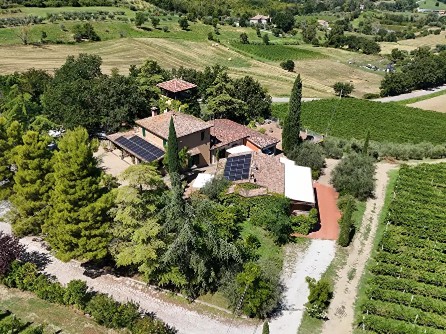 Immagine 5 di Casa indipendente in vendita  in Via Roma 14A a Borghi