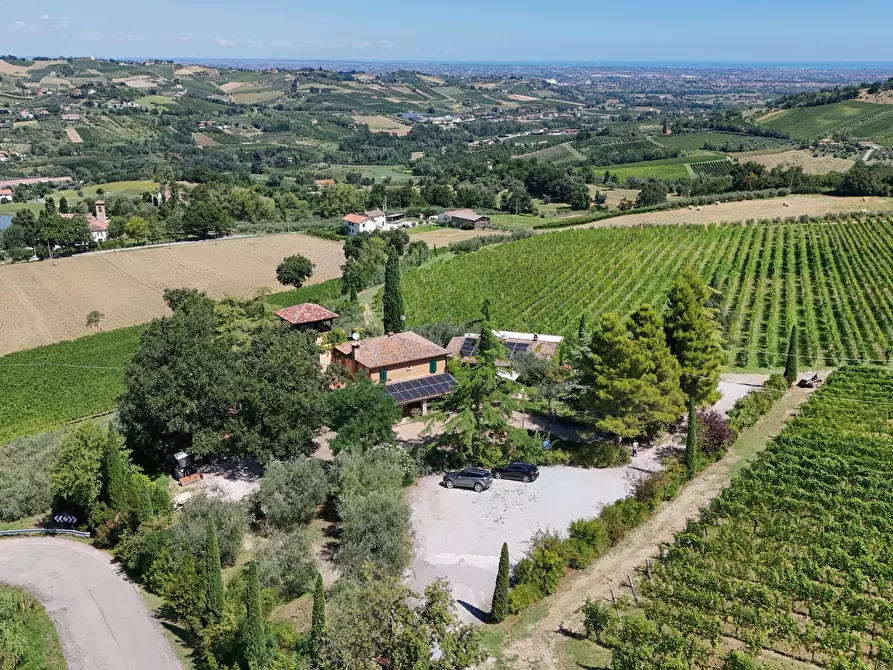 Immagine 2 di Casa indipendente in vendita  in Via Roma 14A a Borghi