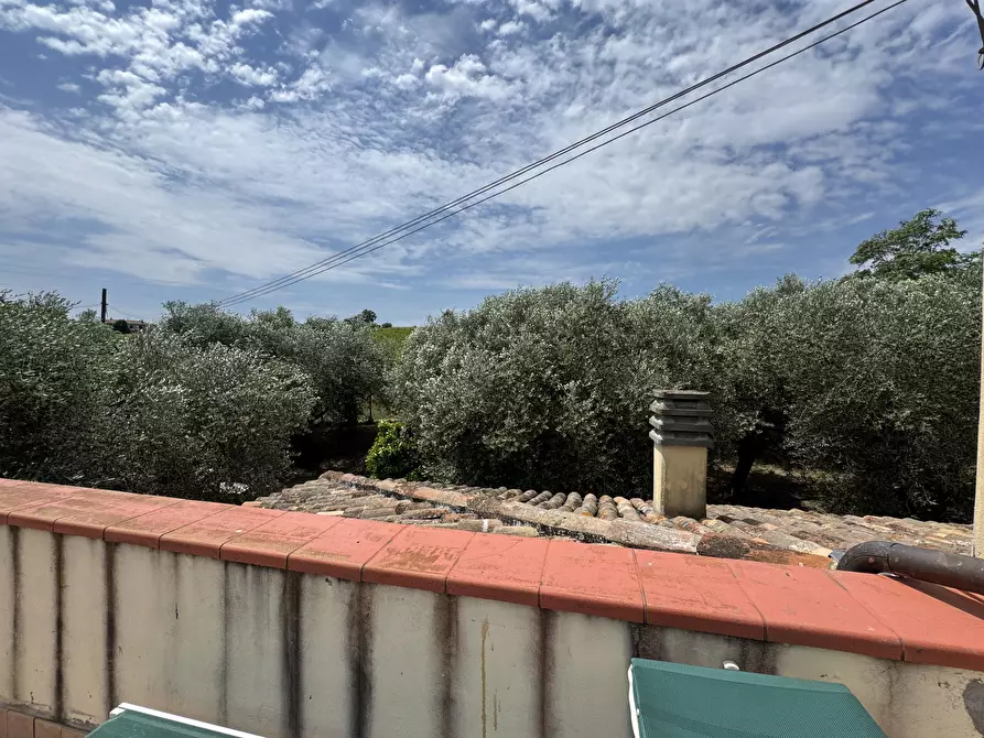 Immagine 46 di Porzione di casa in vendita  in Via Moreta a Coriano