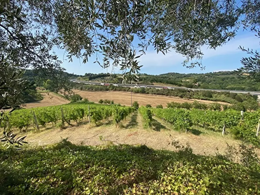 Immagine 41 di Rustico / casale in vendita  in Via Sant'Andrea in Villis a Fano