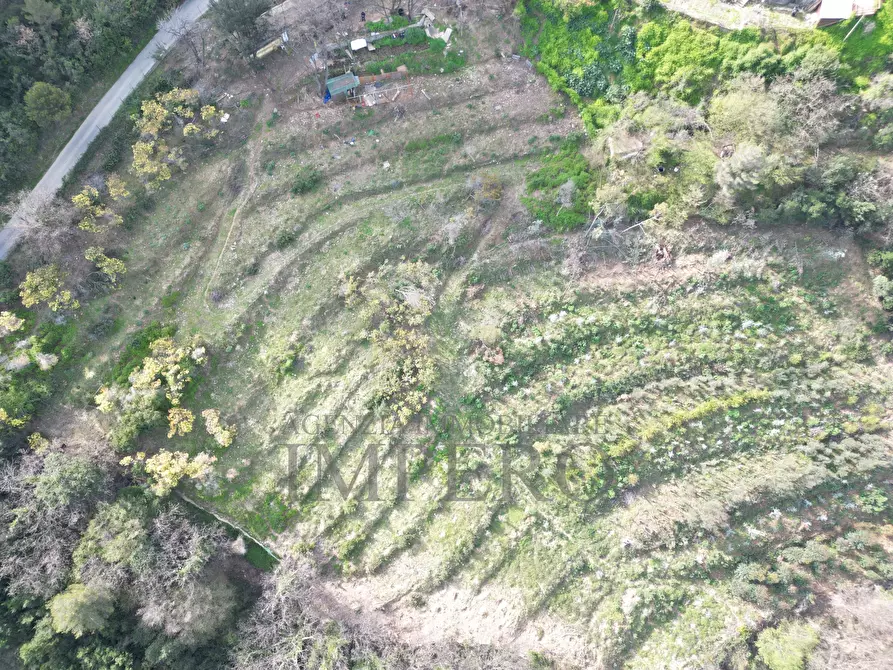 Immagine 1 di Terreno agricolo in vendita  in Regione Magauda 36 a Camporosso