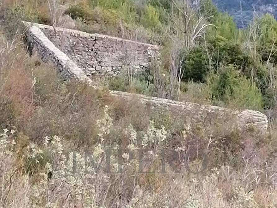 Immagine 20 di Terreno agricolo in vendita  in Via alla Stazione 40 a Ventimiglia