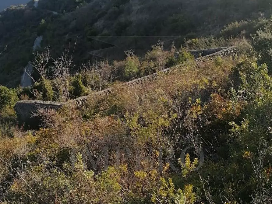 Immagine 23 di Terreno agricolo in vendita  in Via alla Stazione 40 a Ventimiglia