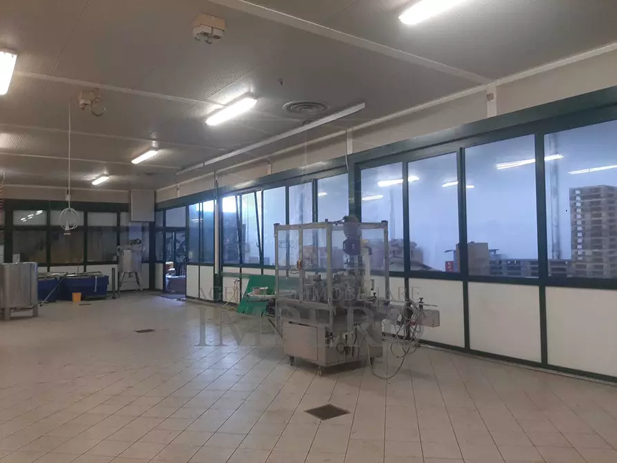 Immagine 3 di Attività artigianale in vendita  in Via Braie 1 a Camporosso