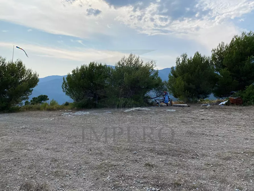 Immagine 5 di Terreno agricolo in vendita  in Via alla Stazione 40 a Ventimiglia