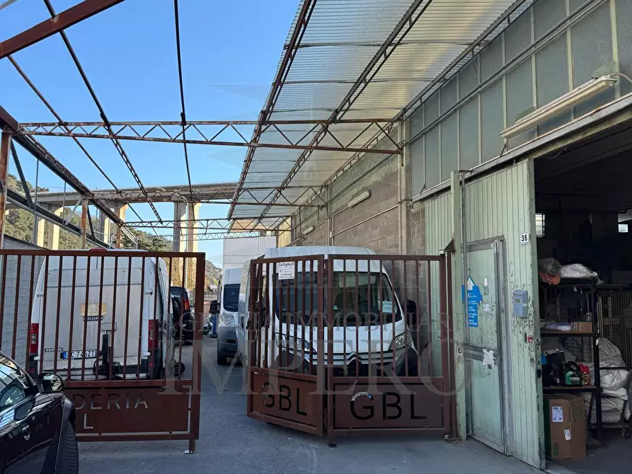 Immagine 1 di Attività artigianale in vendita  in Via Braie a Camporosso