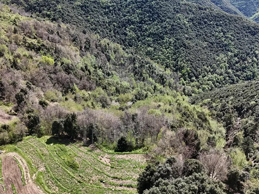 Immagine 42 di Casa indipendente in vendita  in Strada Provinciale 65 65 a Castel Vittorio