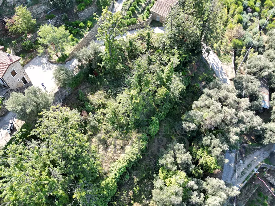 Immagine 2 di Terreno agricolo in vendita  in Via Silvio Pellico 10 a Bordighera