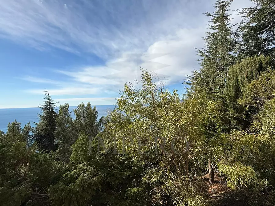 Immagine 22 di Bilocale in vendita  in Via Alpe Summa 5 a Ventimiglia