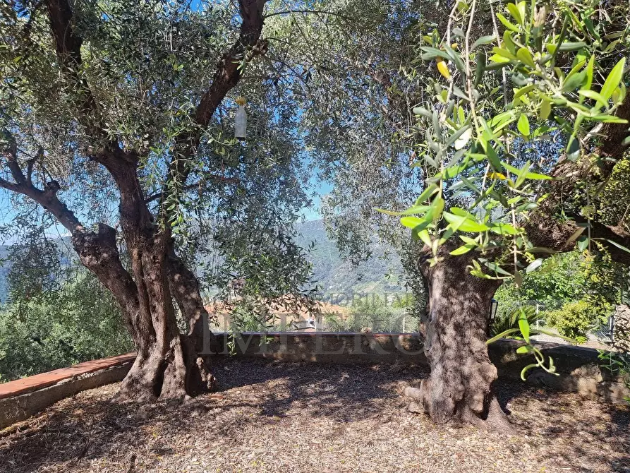 Immagine 30 di Villa in vendita  in Via Nappio 24 a Ventimiglia