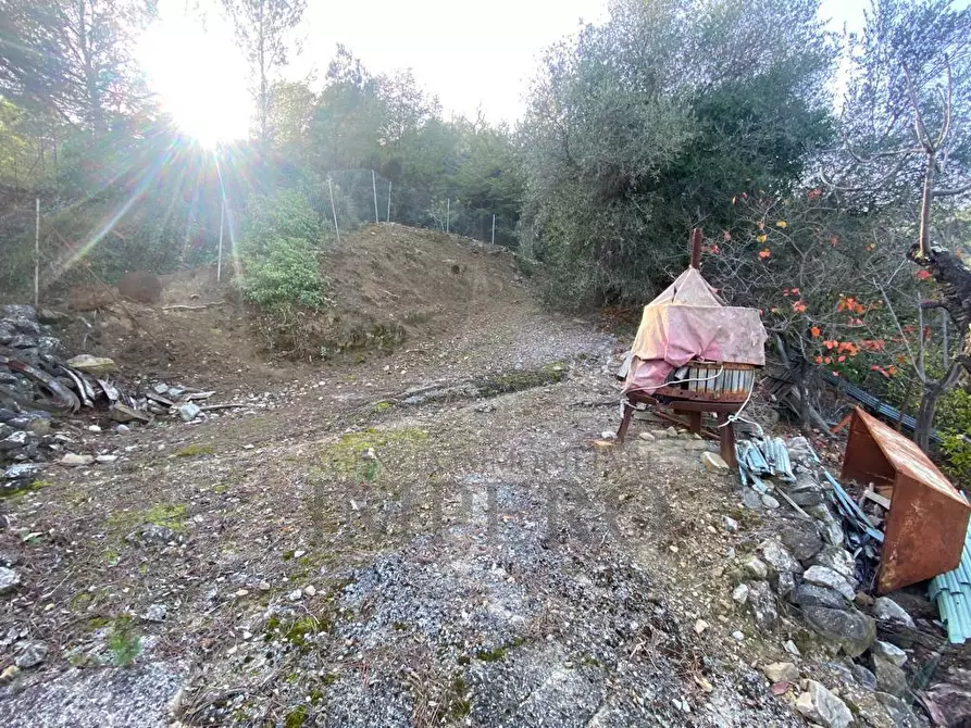 Immagine 22 di Casa indipendente in vendita  in Via Umberto Lorenzi a Ventimiglia