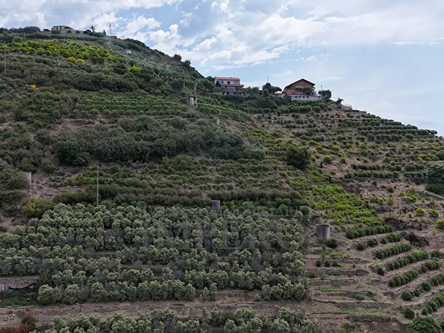 Immagine 17 di Terreno agricolo in vendita  in Via Anacleto Hughes 22/A a Ventimiglia