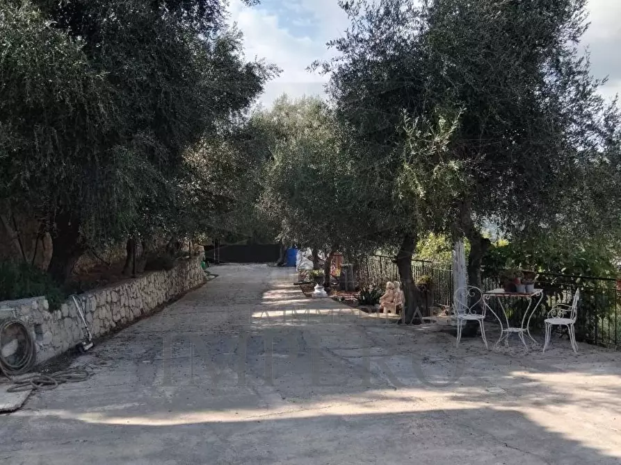 Immagine 16 di Casa bifamiliare in vendita  in Via Ciappin 175 a Ventimiglia