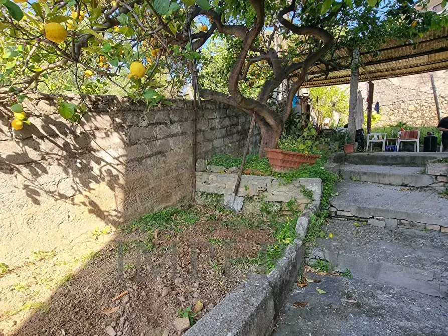 Immagine 31 di Porzione di casa in vendita  in Via Poggio Ponente 5 a Vallecrosia