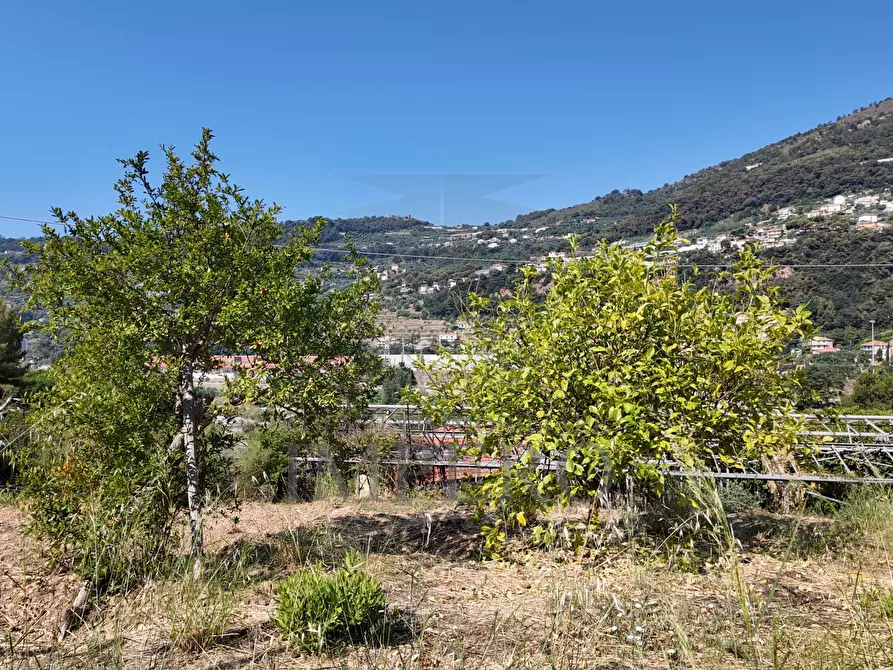 Immagine 6 di Terreno agricolo in vendita  in Corso Limone Piemonte a Ventimiglia