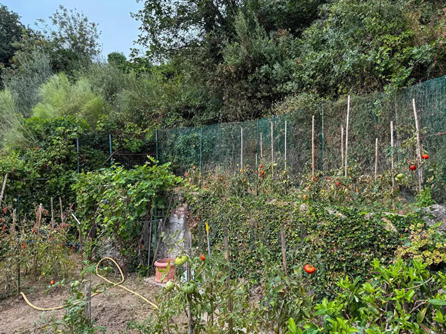 Immagine 19 di Villa in vendita  in Via del Commercio 1 a Camporosso