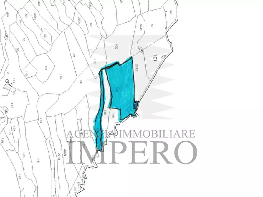 Immagine 6 di Terreno agricolo in vendita  in Via delle Otto Case 94 a Ventimiglia