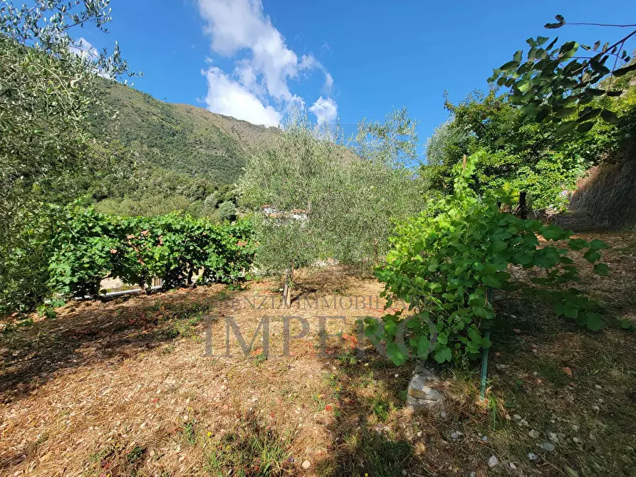 Immagine 61 di Casa bifamiliare in vendita  in Via Nazionale 8 a Airole