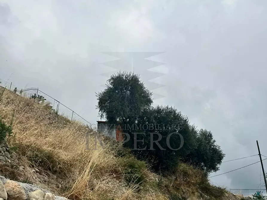 Immagine 5 di Terreno agricolo in vendita  in Via Monsignor Nicolò Peitavino a Ventimiglia