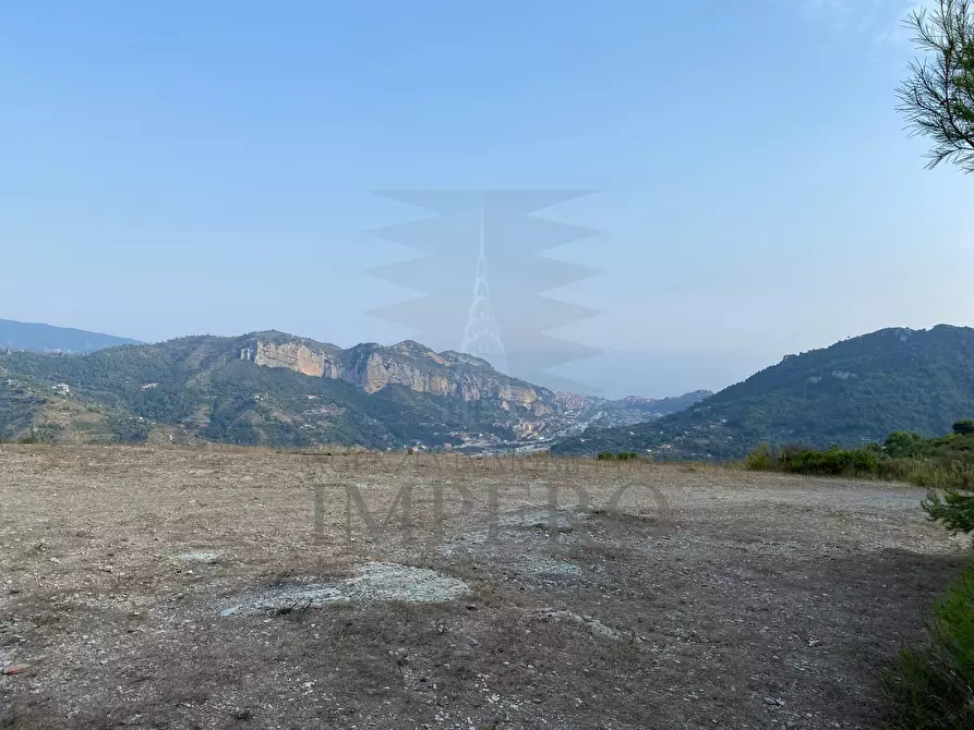 Immagine 11 di Terreno agricolo in vendita  in Via alla Stazione 40 a Ventimiglia
