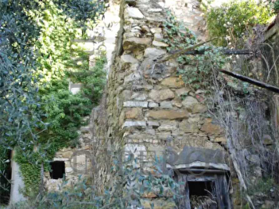 Immagine 5 di Terreno agricolo in vendita  in Via Case Gina 13 a Ventimiglia