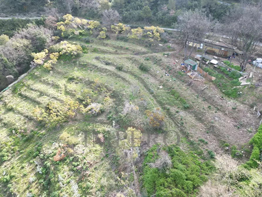 Immagine 3 di Terreno agricolo in vendita  in Regione Magauda 36 a Camporosso