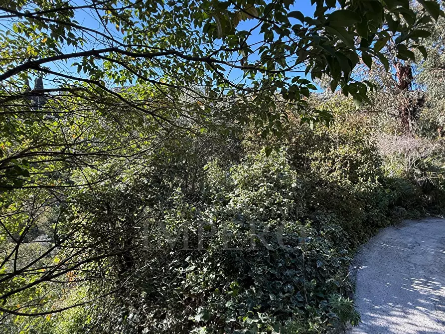 Immagine 24 di Casa indipendente in vendita  in Via Silvio Pellico a Bordighera