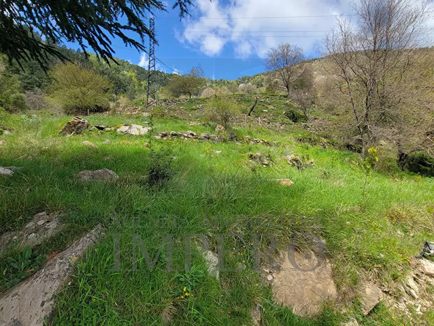 Immagine 50 di Casa indipendente in vendita  in Strada Provinciale 65 65 a Castel Vittorio