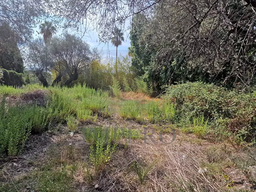 Immagine 69 di Villa in vendita  in Corso Nizza 37 a Ventimiglia