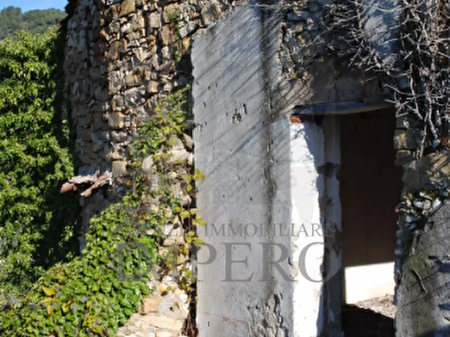 Immagine 3 di Terreno agricolo in vendita  in Via Case Gina 13 a Ventimiglia