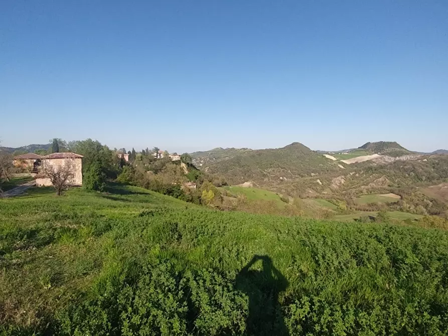 Immagine 2 di Terreno agricolo in vendita  in Via Castello 45 a Monte San Pietro