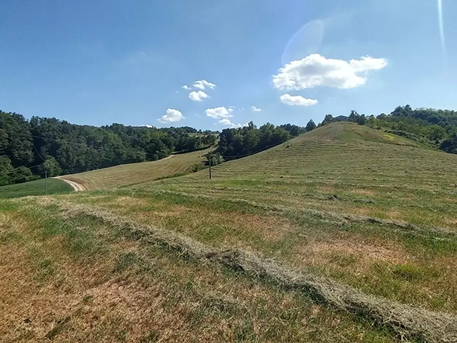 Immagine 4 di Rustico / casale in vendita  in Via Calizzano 803 a Zocca