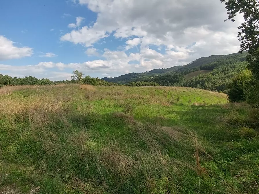 Immagine 33 di Rustico / casale in vendita  in via Selve 3205 a Zocca