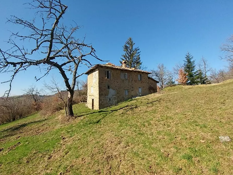Immagine 7 di Rustico / casale in vendita  a Zocca