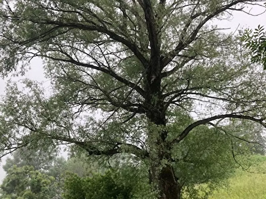 Immagine 28 di Porzione di casa in vendita  in Via Passo del Lupo 3/5 a Sestola