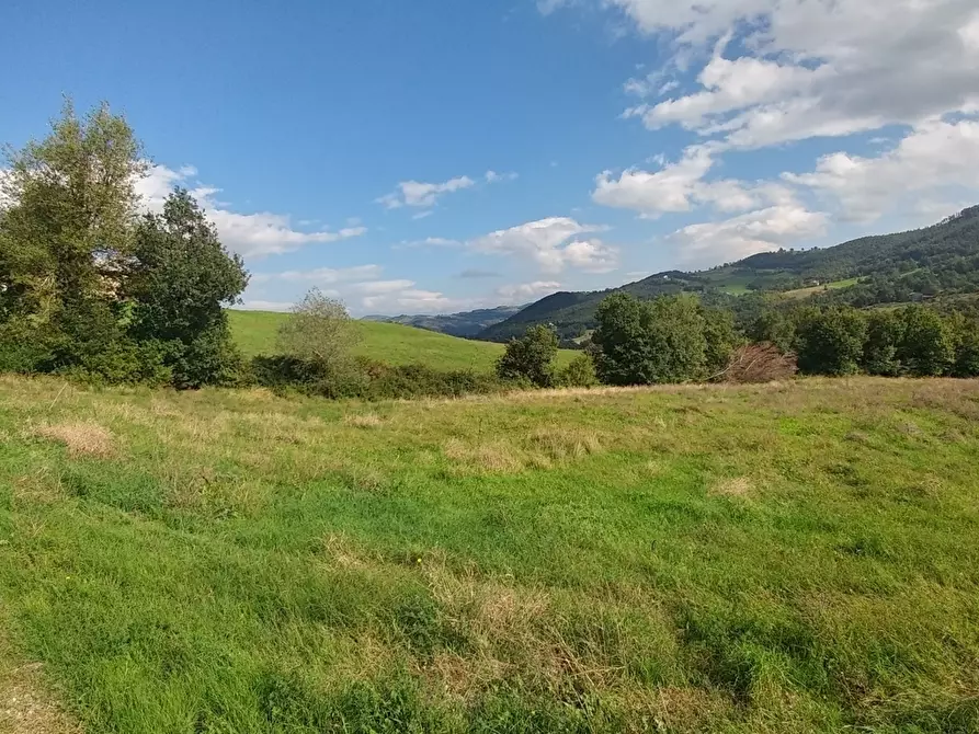 Immagine 41 di Rustico / casale in vendita  in via Selve 3205 a Zocca