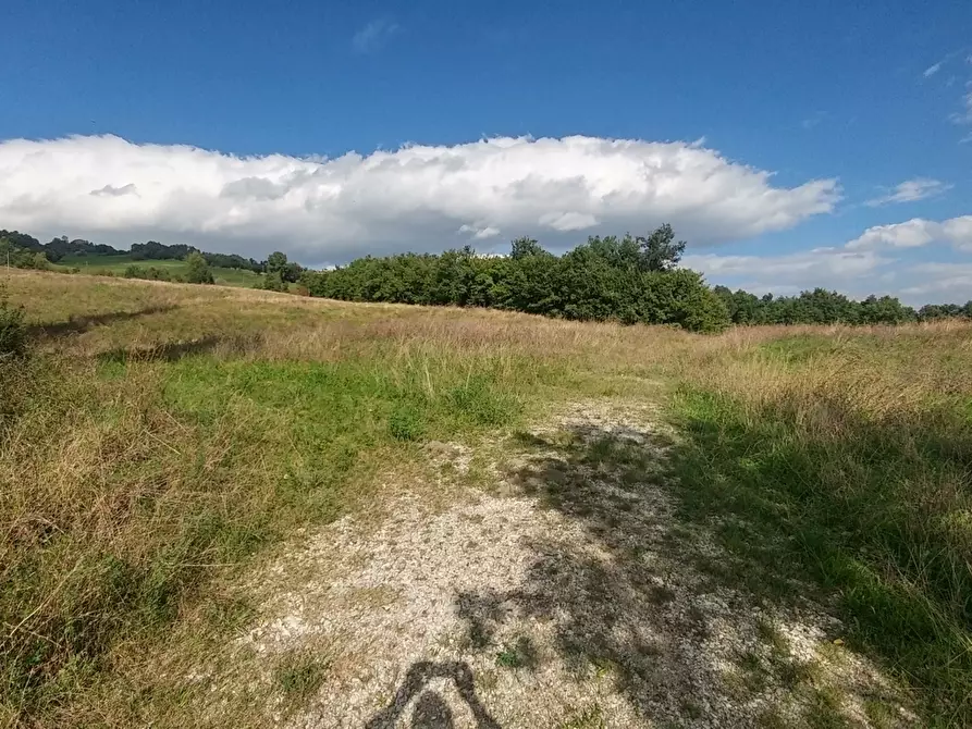 Immagine 32 di Rustico / casale in vendita  in via Selve 3205 a Zocca