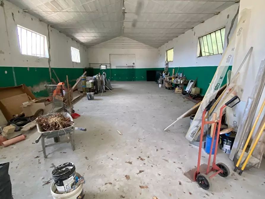 Immagine 14 di Casa bifamiliare in vendita  in via dozza 39 a Castel Guelfo Di Bologna