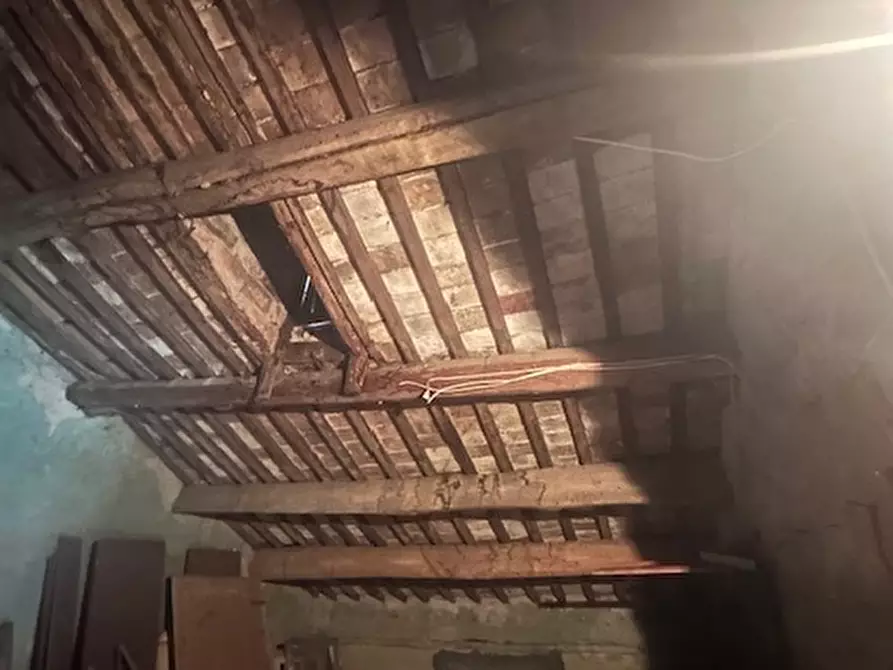 Immagine 22 di Villa in vendita  a Trecenta