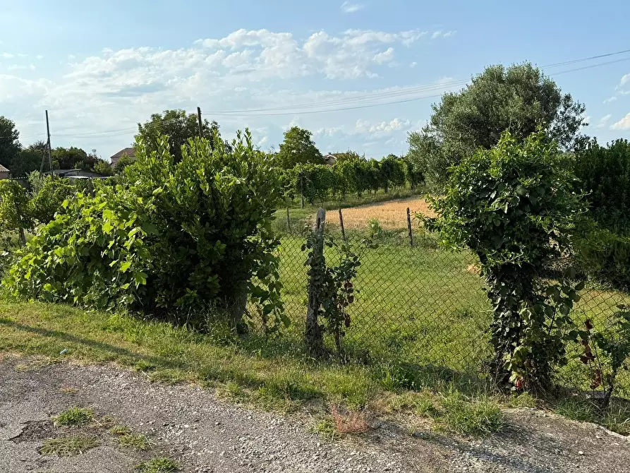 Immagine 10 di Casa indipendente in vendita  a Villamarzana