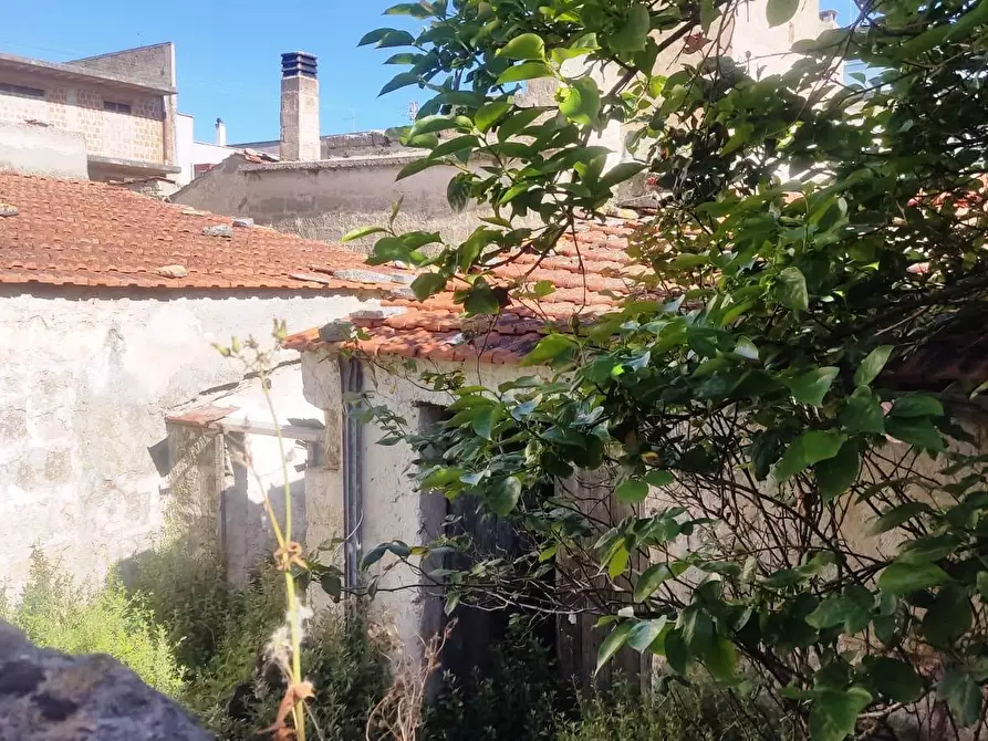Immagine 3 di Rustico / casale in vendita  in Vico Aurelio Saffi 4 a Sammichele Di Bari