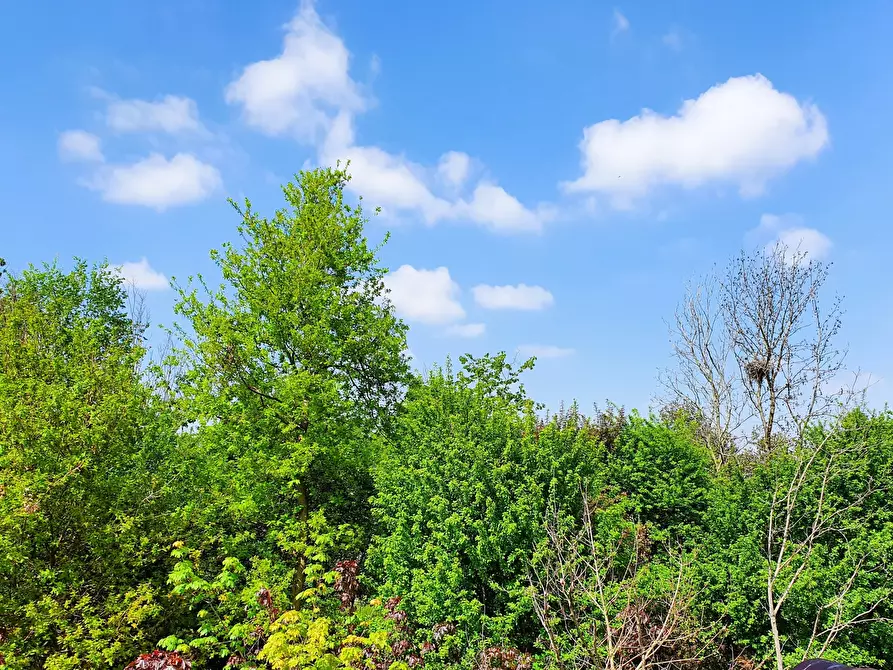 Immagine 5 di Quadrilocale in vendita  in MONTE NETTO a Poncarale