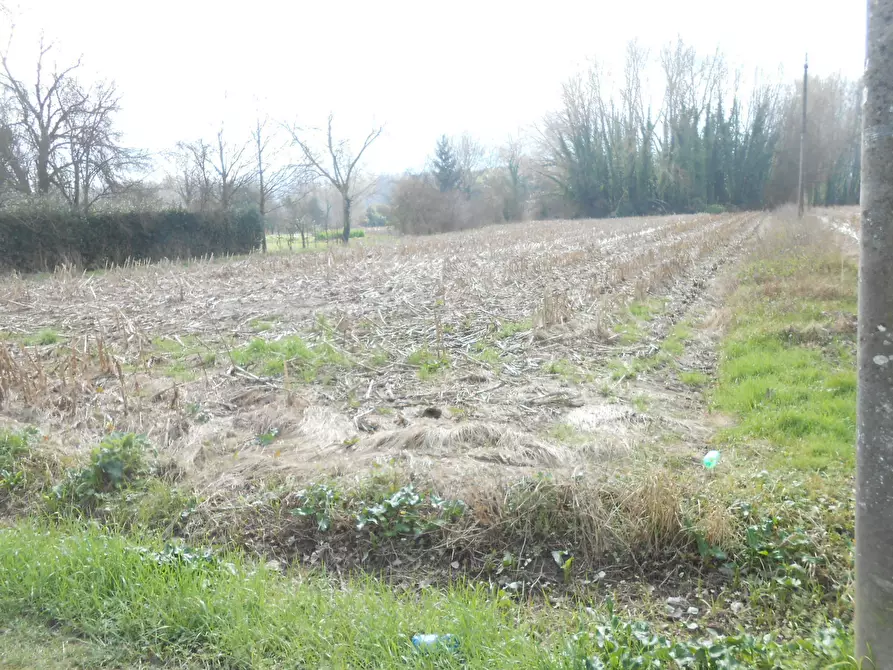 Immagine 8 di Terreno industriale in vendita  in Via delle Viottole 226 a Viareggio