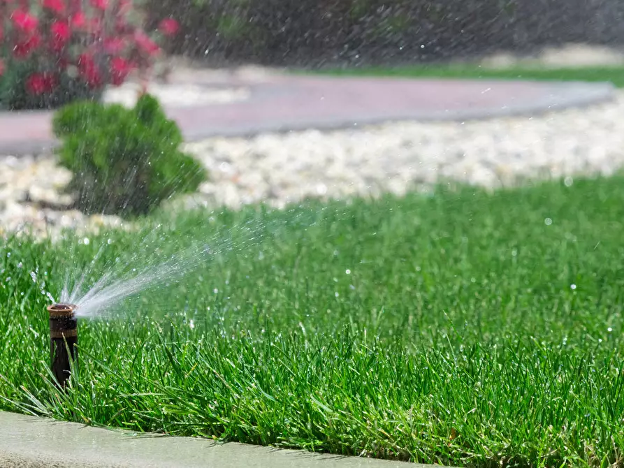 Immagine 10 di Terreno industriale in vendita  in via bientina a Altopascio