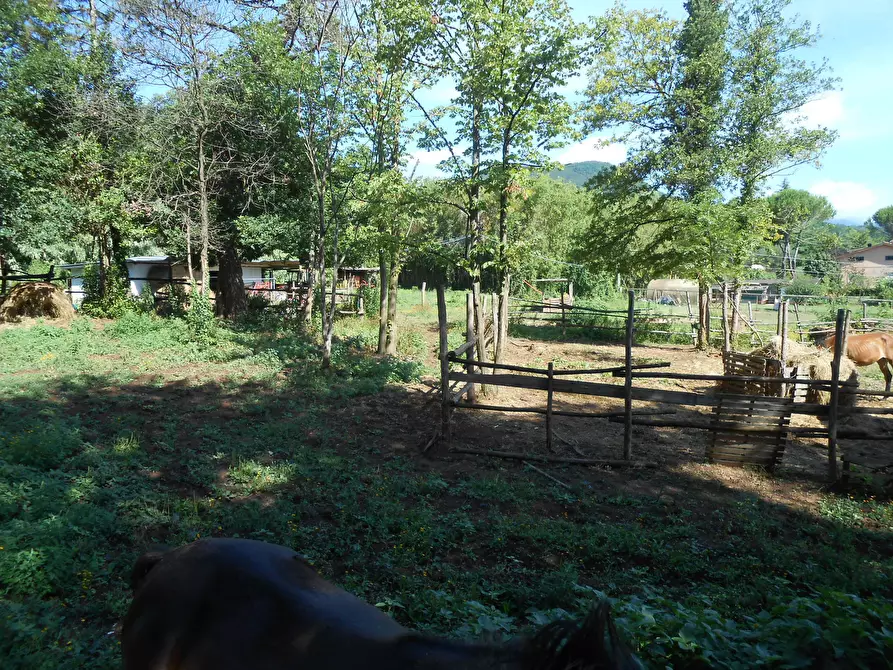 Immagine 7 di Terreno industriale in vendita  in Via Francesco Ferraris a Lucca