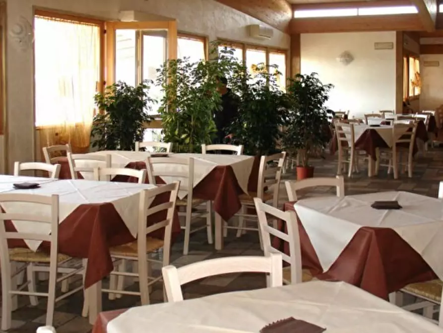 Immagine 11 di Bar / Ristorante in vendita  in Viale Europa a Viareggio